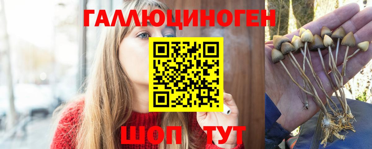 Галлюциногенные грибы мухоморы  Вход с VPN  Вятские Поляны 